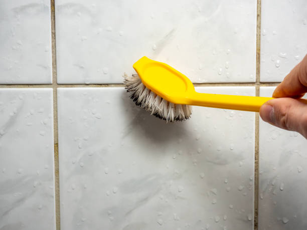 Best Toxic Mold Removal  in , LA