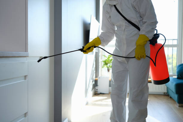 Best Commercial Mold Removal  in , LA