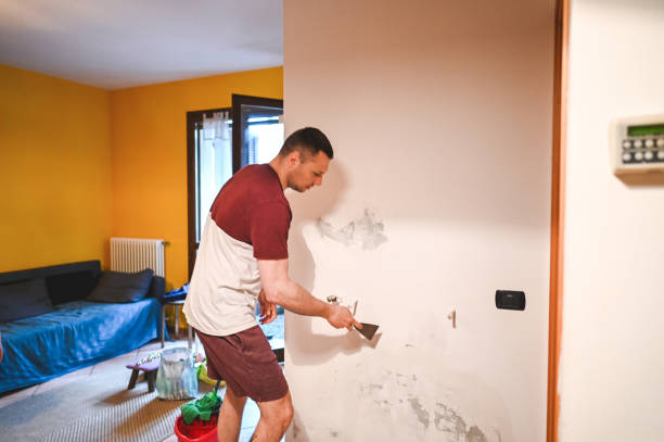 Best Residential Mold Removal  in , LA